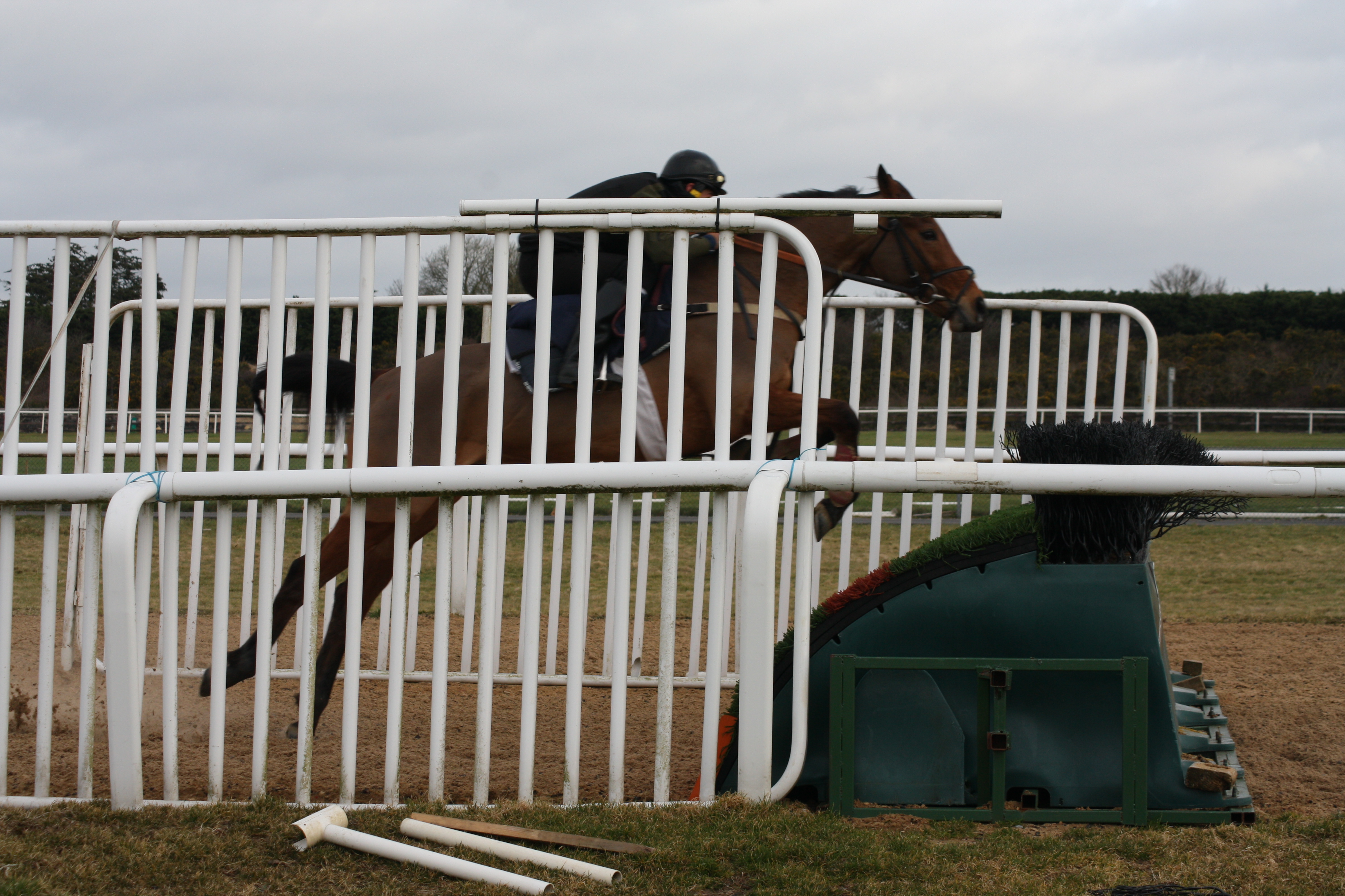 Australian Jump Jockeys being put through their paces over fences on the Curragh.