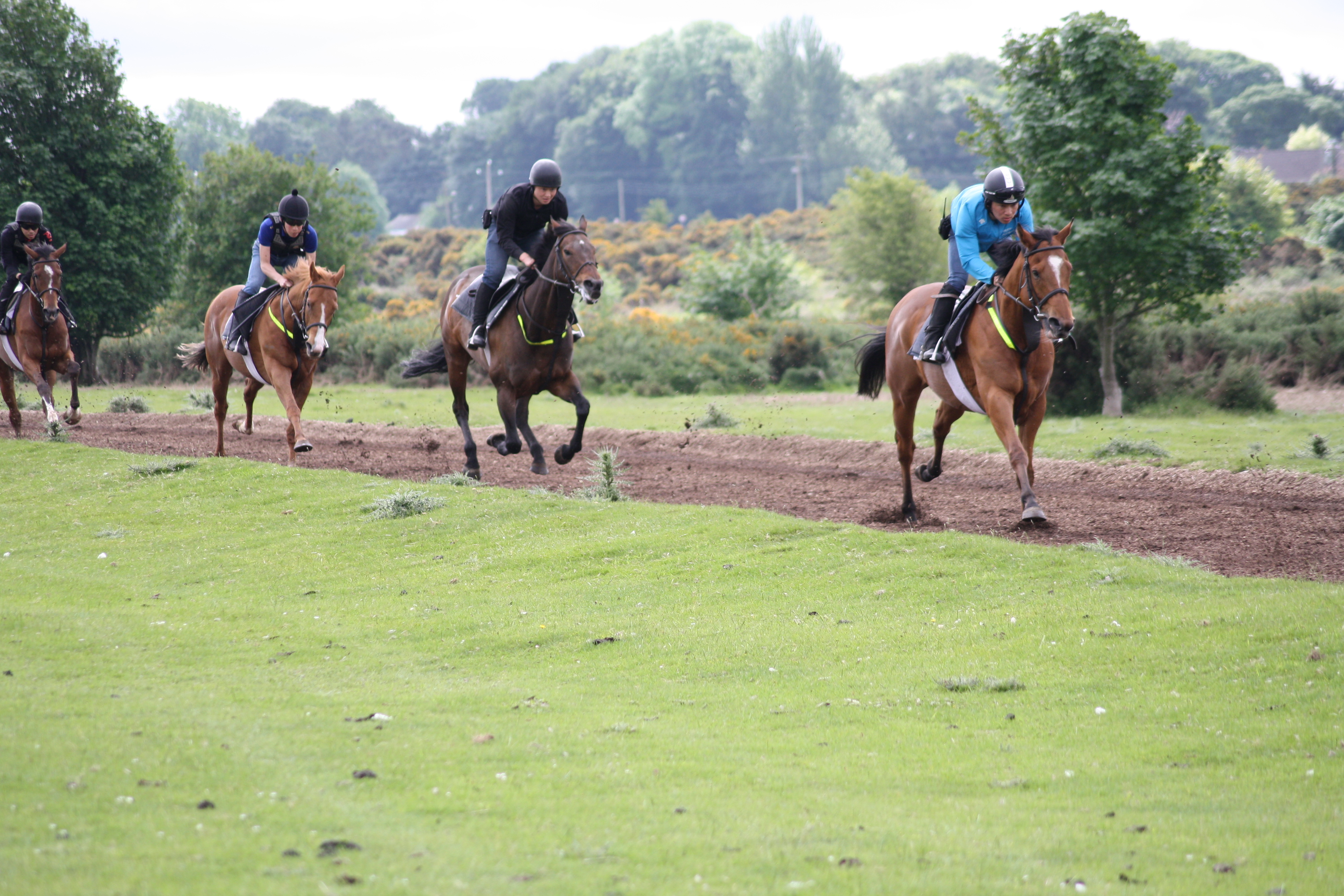 Our 2017 Exercise Riders from Japan cantering on Maddenstown gallops.